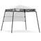 7 x 7 Feet Sland Adjustable Portable Canopy Tent with Backpack